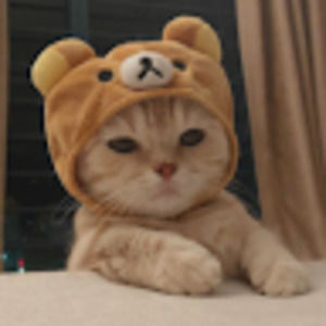 Meet your Posher, Allison